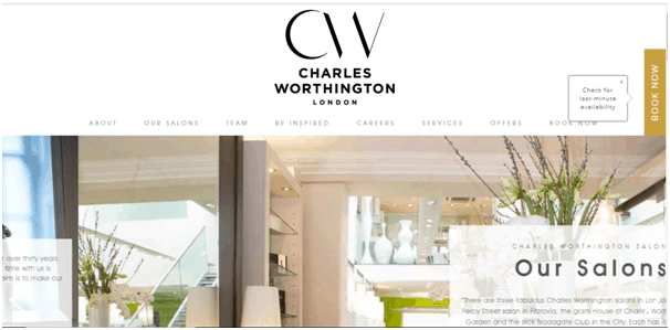 Wordpress Salon Website Theme