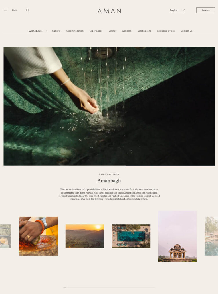 website design Amanbagh Spa Resort 