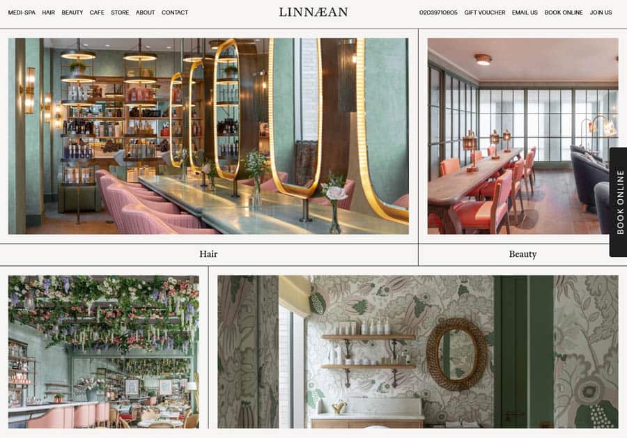 Linnaean Hair salon website design example