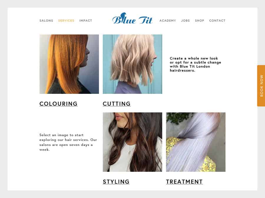 Blue Tit London Hair salon website design example